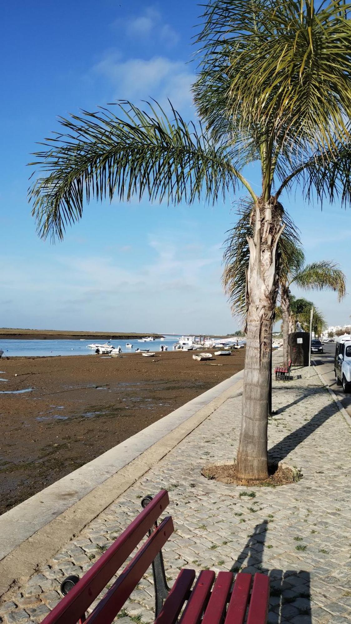 Appartement Casinha Secreta - A Gema Escondida Da Santa Luzia à Santa Luzia  Extérieur photo